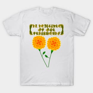 It Is 74 Years Of Our Friendship T-Shirt